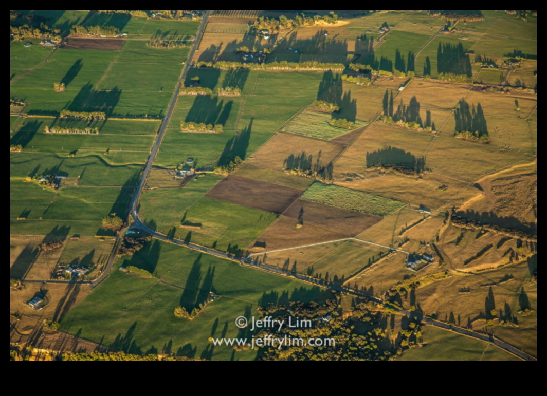 Aerial Allure: Fotoğraf Stillerinde Yükselen Perspektifler