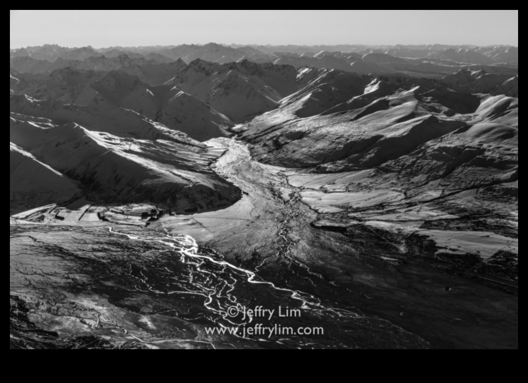 Aerial Allure: Fotoğraf Stillerinde Yükselen Perspektifler