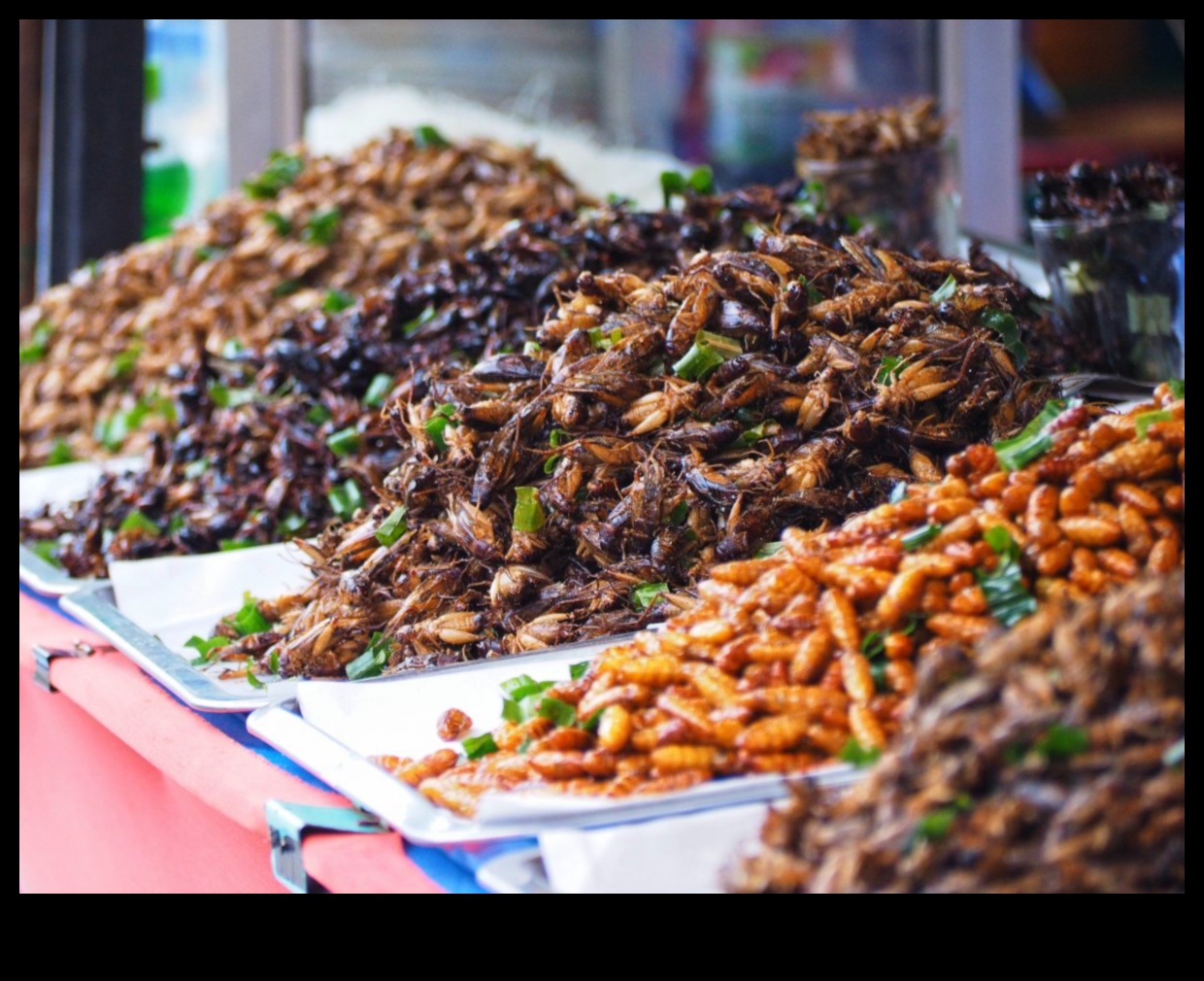 Yiyeceklerin geleceği: Vegan bir paradigmayı kucaklamak