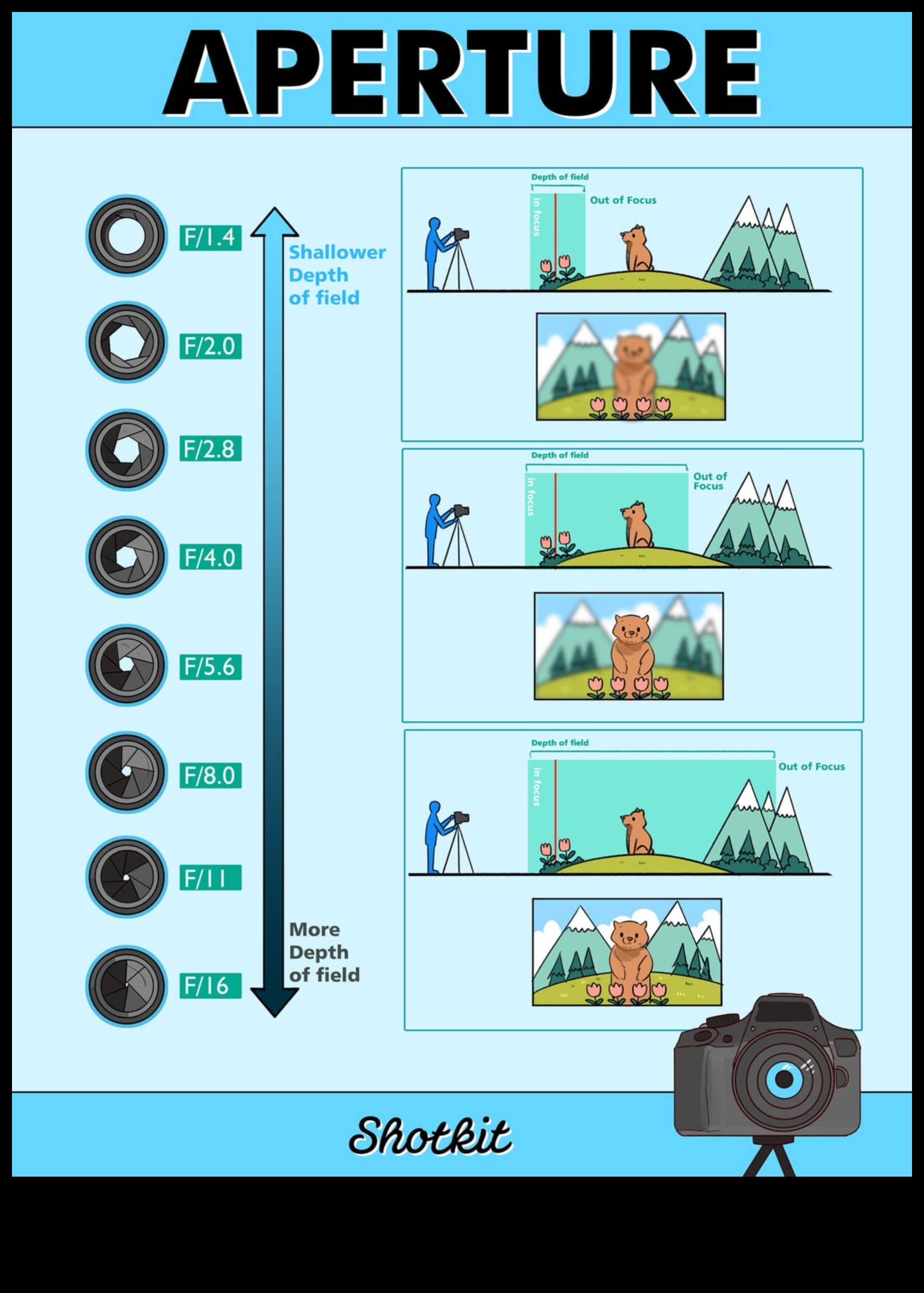 Diyafram Aces: Kapsamlı Fotoğraf Eğitimi aracılığıyla zanaatınızı yükseltin