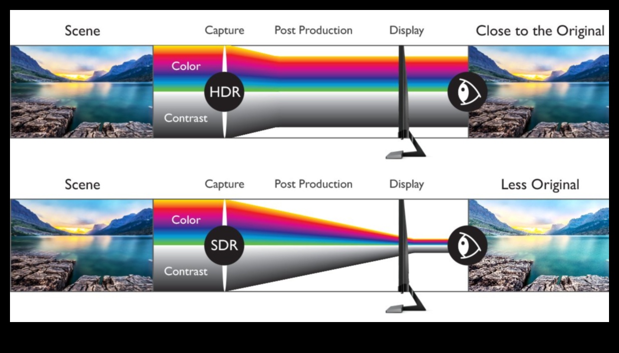 HDR Yüksekleri: Yüksek dinamik aralık ve çarpıcı renklere sahip monitörler